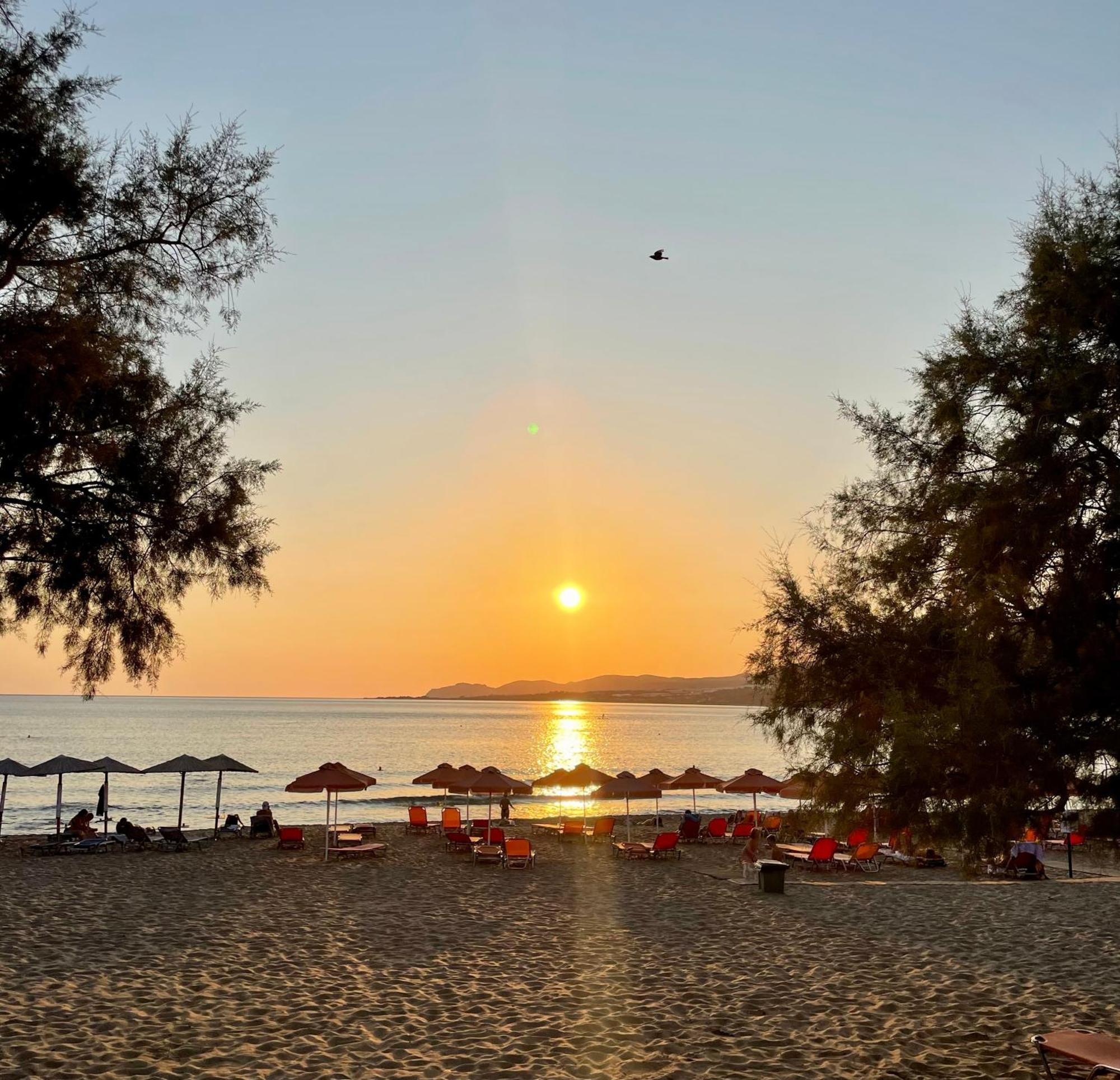 Pal Beach باليوخورا المظهر الخارجي الصورة